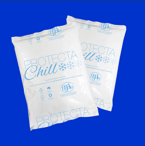 Protecta Chill Gel Ice Pack 750 grams (carton of 14)